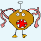 772507791@qq.com